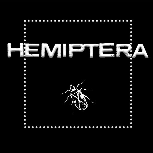 Hemiptera
